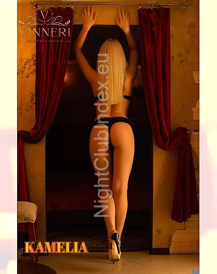 Piękna Kamelia- Studio massage VINNERI 